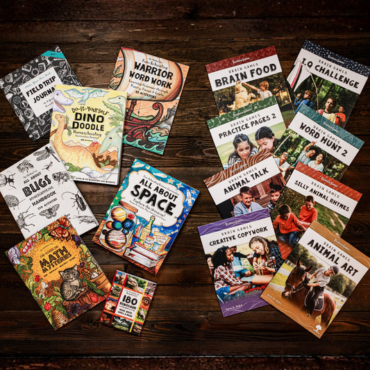 3rd Grade Curriculum - For Dyslexic & Creative Thinkers